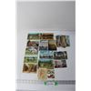 Image 1 : Vintage Postcards