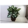 Image 1 : Faux Plant in Pot (22" tall)