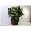 Image 4 : * Faux Plant in Pot (22" tall)
