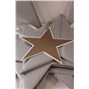 Image 4 : (8) Folding Star Decor.