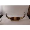 Image 3 : Mounted Bull Horns