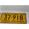 Image 3 : Pair of Saskatchewan 1967 Centennial License Plates