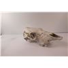 Image 3 : Cow Skull