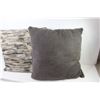 Image 3 : (2) Throw Cushions (19" x 19")