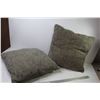 Image 2 : (2) Throw Cushions (19" x 19")