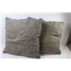 Image 3 : (2) Throw Cushions (19" x 19")