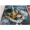 Image 3 : (4) Vinyl Records - Boney M., Village People
