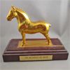 Image 1 : Horse Trophy "In Memory of Ben"