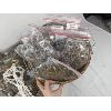 Image 8 : NEW Macramé Plant Holder, Sheet Moss, Spanish Moss and Basket