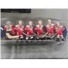 Image 2 : Stiga NHL Hockey Teams Detroit, Maple Leafs, Capitals for Table Hockey