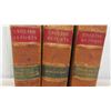 Image 2 : 3 Antique Leather Bound Law Books - English Report