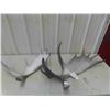 Image 1 : 2 Moose Horn Sheds