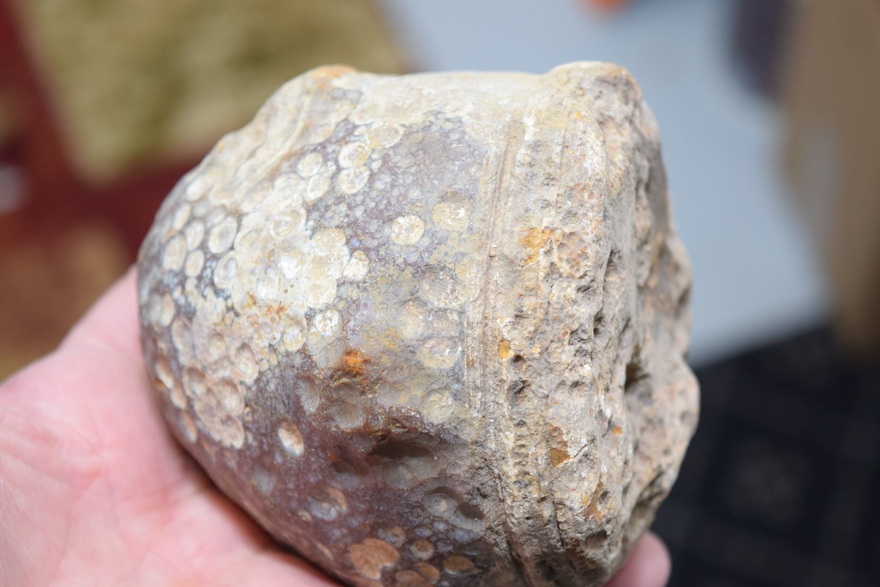 Uncut geode rock
