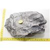 Image 1 : Unidentified rock - large