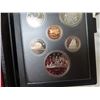Image 4 : 1982 Double Dollar Proof Set. Silver Dollar marks the centennial of the Regina. Popular bison skull.