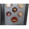 Image 3 : 1993 Double Dollar Proof Set. Silver Dollar marks the centennial of Governor General of Canada Lord 