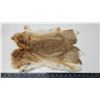 Image 2 : Brown rabbit fur pelt