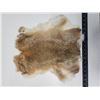 Image 2 : Brown rabbit fur pelt