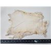 Image 2 : White rabbit fur pelt