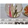 Image 2 : Three paper weights