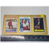 Image 1 : 3 Eric Lindres hockey cards - sealed in hard plastic frame