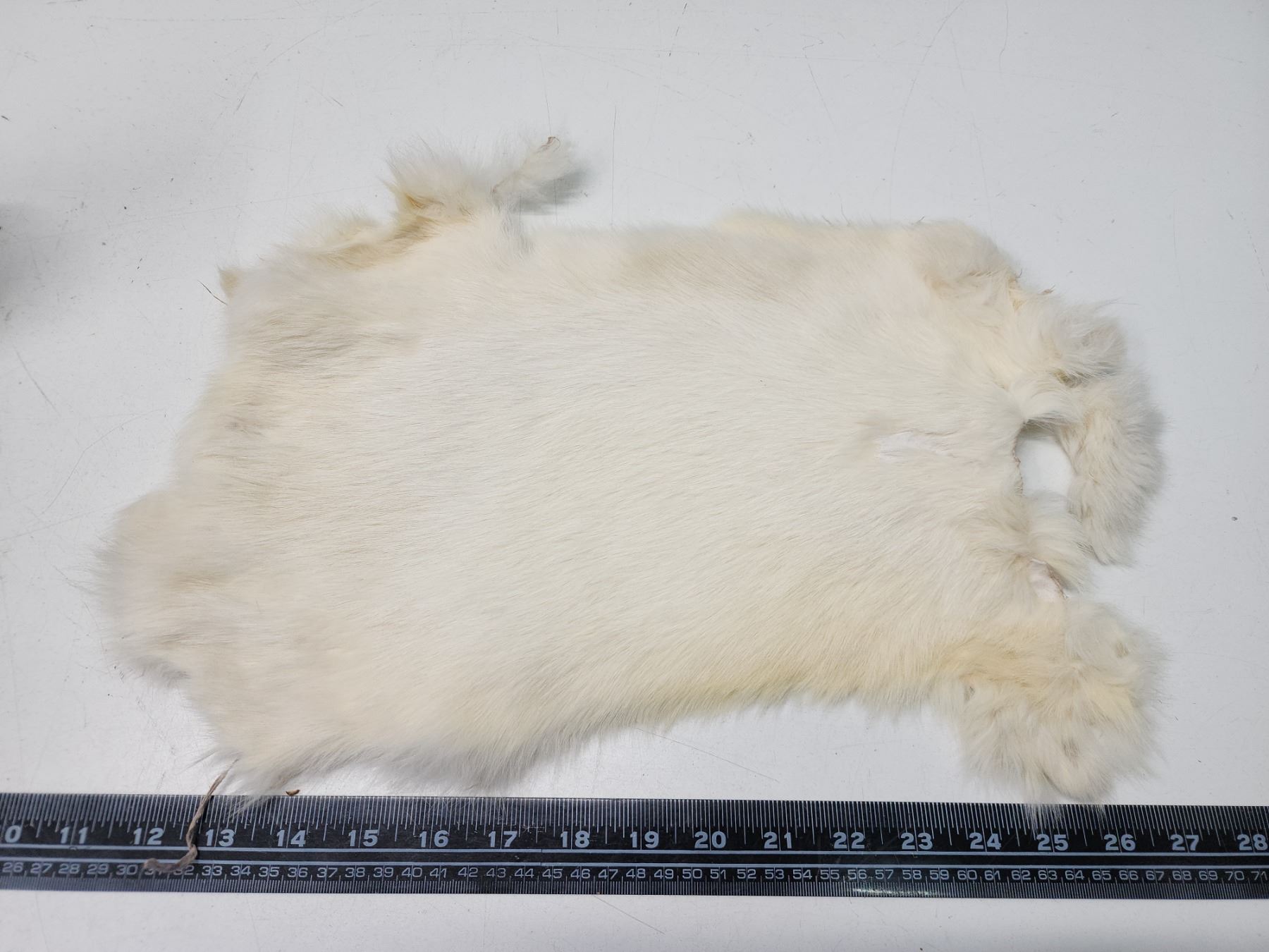 10 White Rabbit Fur Pelts – Grade B, Great Value For Craft & Fashion