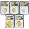 Image 2 : 2018 China GLD Berlin Panda NGC PF70 UC FDI [50g G