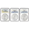 Image 1 : Set of 3 2012 American Silver Eagles