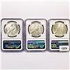 Image 2 : [3] 1922-D Peace Silver Dollar NGC MS61