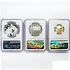 Image 2 : [3] 2022 US Mint Set w/ .25oz Gold & Silver NGC PF