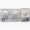 Image 2 : [3] 2011-2021 Silver Eagle NGC,PCGS MS69/70 Type 1