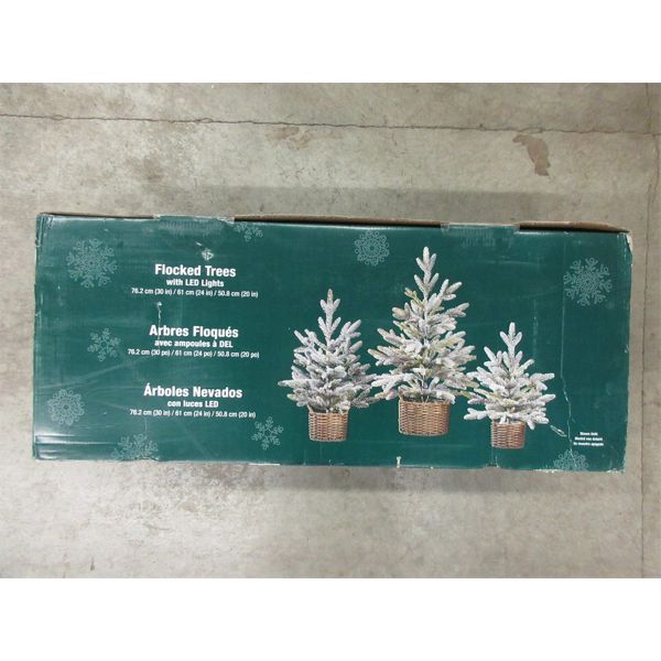 Set of 3 LED Flocked Tree Décor in Pots