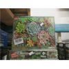 Image 1 : 6 New 1,000 Piece Jig Saw Puzzles - Succulent Plants