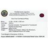 Image 2 : 6.05 ctw Oval Cut Natural Ruby