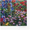 Image 2 : Riverwood Garden by Powell, John