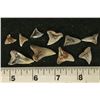 Image 2 : 10 SHARK TEETH, HEMIPRISTIS SERRA, MIOCENE ERA