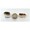 Image 1 : Brazilian Heated Citrine Mineral Specimens