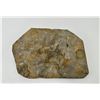 Image 2 : Moroccan Ophiuroids Brittle Starfish Fossil Plate