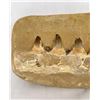 Image 2 : Moroccan Fossil Mosasaur Jaw with Teeth