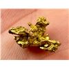 Image 1 : Alaskan Native Gold Nugget