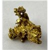 Image 2 : Alaskan Native Gold Nugget