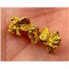 Image 1 : Alaskan Native Gold Nugget