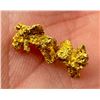 Image 1 : Alaskan Native Gold Nugget