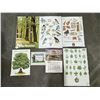 Image 2 : Forest Service Smokey Bear USFS Posters & Calendar