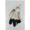 Image 2 : Native American Indian Feather Fan