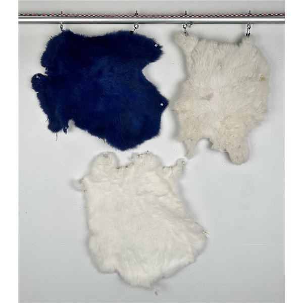 Tanned Rabbit Hides