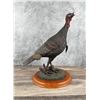 Image 1 : Wild Turkey Resin Sculpture