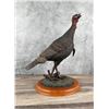Image 2 : Wild Turkey Resin Sculpture