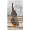 Image 4 : Wild Turkey Resin Sculpture