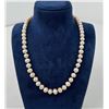 Image 1 : Freshwater Pearl Necklace